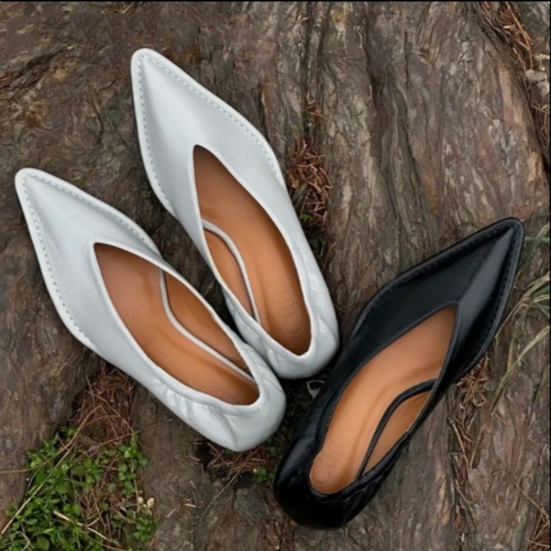 2025 New Pointed Toe Single Sh - đánh giá và giá Women'S Fashion Shoes